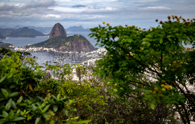 From Lula to Tarcísio