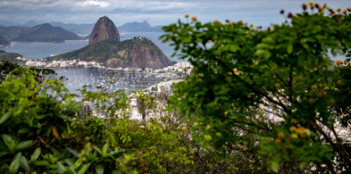 from-lula-to-tarcisio-brazil-political-dynamics