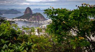 from-lula-to-tarcisio-brazil-political-dynamics